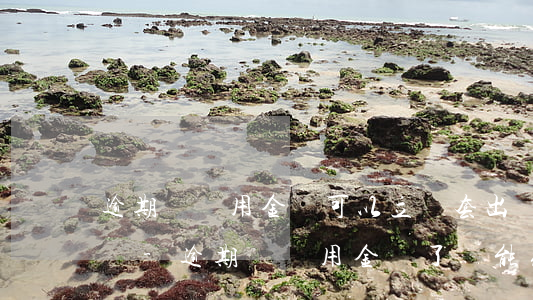 逾期還備用金還可以立馬套出來(lái)嗎-逾期還備用金還了還能取出來(lái)嗎