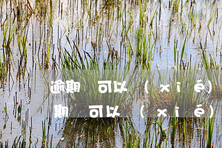 逾期還可以協(xié)商分期嗎怎么辦（逾期還可以協(xié)商分期嗎）