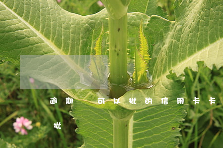 逾期還可以批的信用卡（卡卡貸信用卡逾期能批）