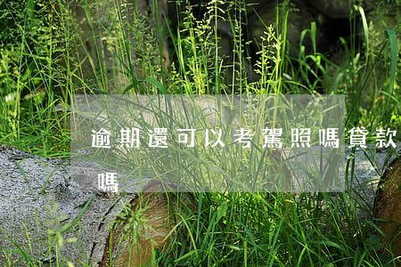 逾期還可以考駕照嗎(貸款逾期影響考駕駛證嗎)
