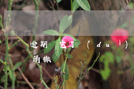 逾期還完了對(duì)方不撤訴-逾期還清撤訴