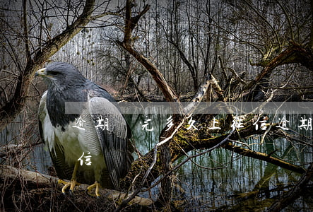 逾期還完多久上征信 逾期還完了多久恢復征信
