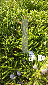 逾期還完多久能辦信用卡