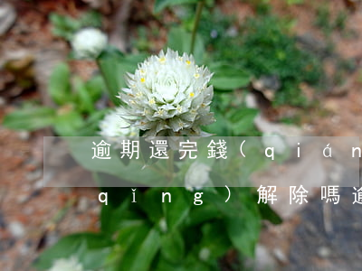 逾期還完錢(qián)可以去法院申請(qǐng)解除嗎(逾期還完錢(qián)可以去法院申請(qǐng)解除嗎)