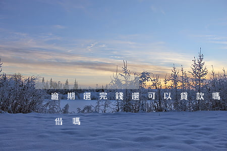 逾期還完錢還可以貸款嗎(逾期了還款后還能借嗎)