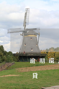 逾期還房貸上征信(逾期上征信消除后還能房貸)