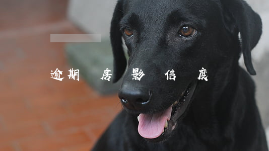 逾期還房貸影響信譽度嗎