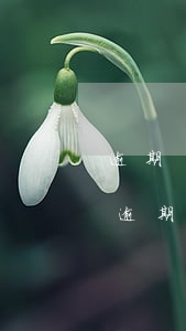 逾期還房貸影響賣(mài)房子嗎(還房貸逾期有什么影響)