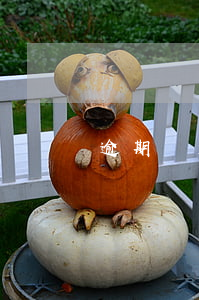 逾期還房貸會起訴嗎(還房貸能逾期嗎)