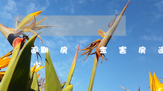 逾期還房貸滯納金厲害嗎(房貸逾期滯納金多少)