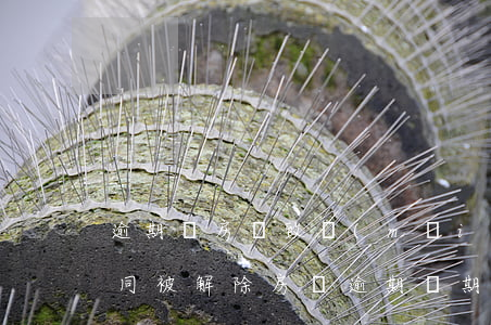 逾期還房貸致買(mǎi)賣(mài)合同被解除（房貸逾期兩期法院起訴賤賣(mài)房產(chǎn)）