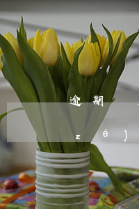 逾期還房貸開(kāi)發(fā)商責(zé)任(開(kāi)發(fā)商逾期交房,貸款怎么辦)
