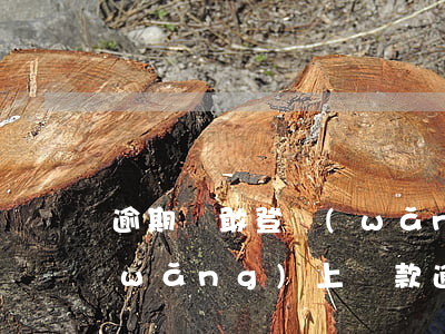 逾期還敢登網(wǎng)貸App嗎(網(wǎng)上貸款逾期了還能貸款嗎)