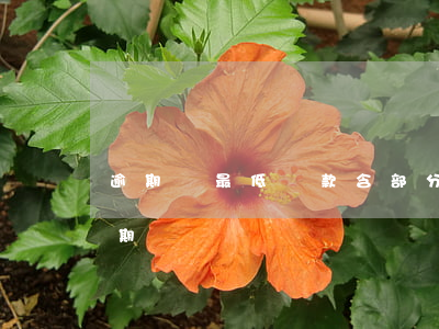 逾期還最低還款含部分本金嗎(最低還款是逾期嗎)