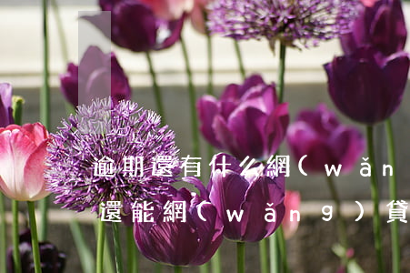 逾期還有什么網(wǎng)貸可借(有逾期還能網(wǎng)貸嗎)