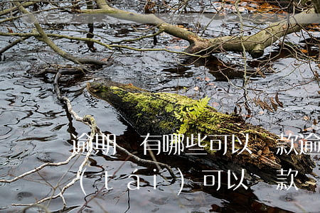 逾期還有哪些可以貸款(逾期了還有什么平臺(tái)可以貸款)