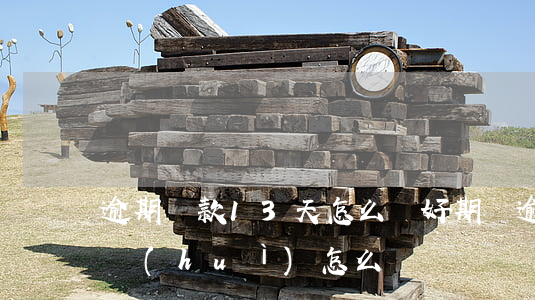 逾期還款13天怎么辦(好期貸逾期了13天會(huì)怎么樣)