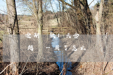 逾期還款1天金額凍結(jié)(逾期還款超過一周了,怎么辦)