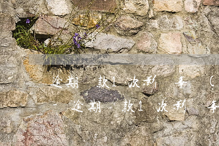 逾期還款1次影響事業(yè)單位政審嗎-逾期還款1次影響事業(yè)單位政審嗎知乎