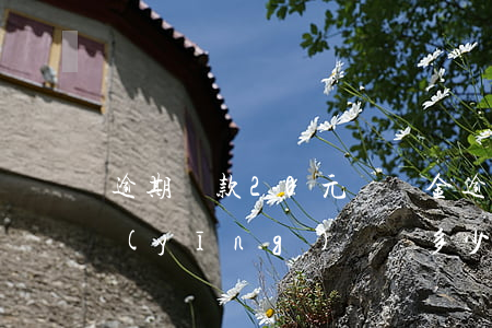 逾期還款20元違約金(逾期未還款違約金應(yīng)該寫多少合適?)