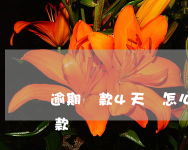 逾期還款4天會怎么樣(逾期4天能還最低還款嗎)