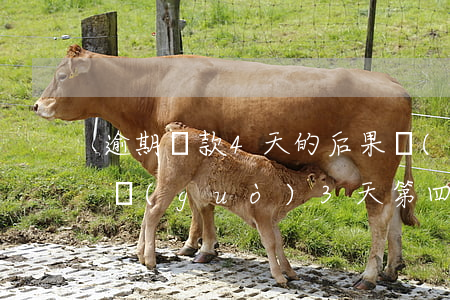逾期還款4天的后果嚴(yán)重(逾期超過(guò)3天,第四天還款怎么辦)