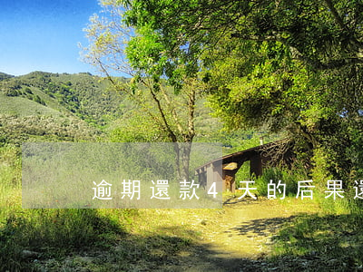 逾期還款4天的后果(還款逾期了3 天會怎樣)