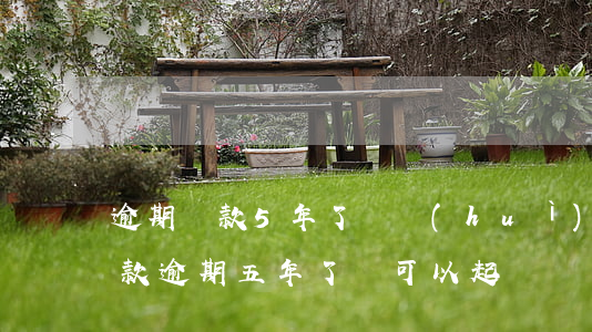 逾期還款5年了還會(huì)被起訴嗎(貸款逾期五年了還可以起訴嗎)