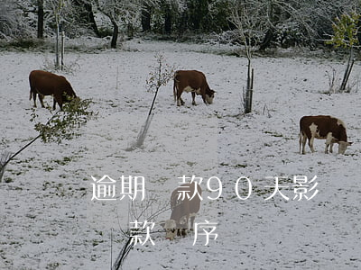 逾期還款90天影響貸款(貸款逾期90天后還款順序)