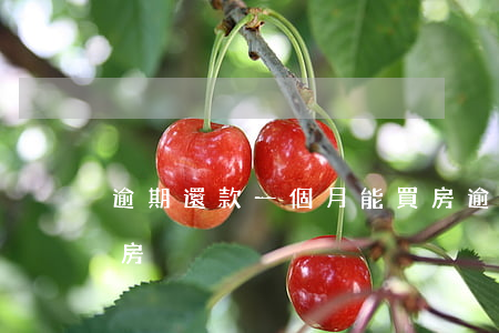 逾期還款一個月能買房(逾期還款一個月能買房)