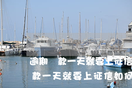 逾期還款一天就要上征信如何消除-逾期還款一天就要上征信如何消除呢