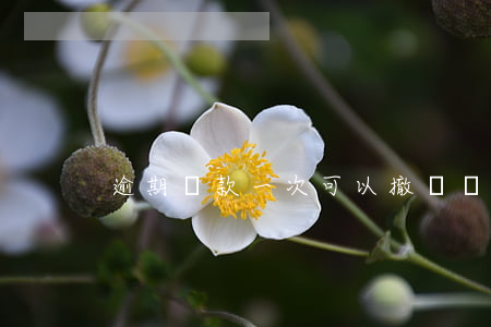 逾期還款一次可以撤銷嗎(還款逾期幾年能消)