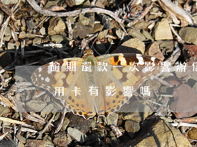 逾期還款一次影響辦信用卡嗎 逾期一次辦信用卡有影響嗎