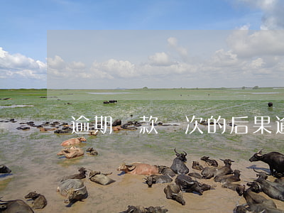 逾期還款一次的后果(逾期一個月還款的后果)