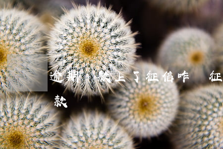 逾期還款上了征信咋辦(征信逾期還了還能貸款嗎)