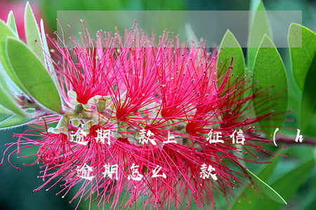 逾期還款上傳征信會(huì)怎樣(征信有逾期怎么還款)