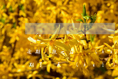 逾期還款之后還會(huì)長利息(還款逾期了幾天會(huì)有影響嗎)