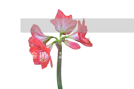 逾期還款之日是哪一天(貸款還款日當(dāng)天幾點(diǎn)之前還款不算逾期)