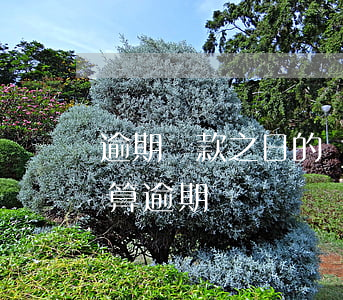 逾期還款之日的認(rèn)定(還款日還款算逾期嗎)