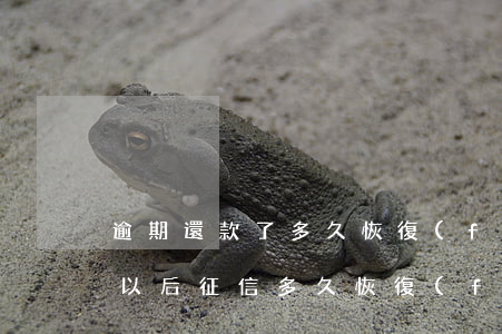 逾期還款了多久恢復(fù)征信(逾期還款以后征信多久恢復(fù))