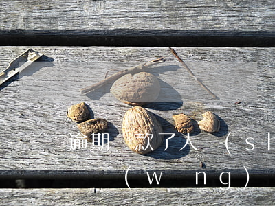 逾期還款了大數(shù)據(jù)顯示嗎(網(wǎng)貸有逾期還清了還會影響大數(shù)據(jù)嗎)