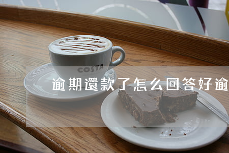 逾期還款了怎么回答好(逾期還款一般怎么還)
