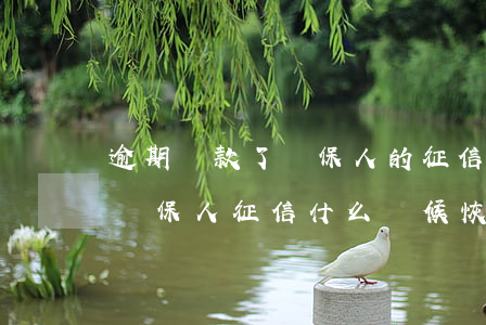 逾期還款了擔保人的征信(逾期的貸款還款后擔保人征信什么時候恢復)