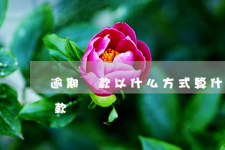 逾期還款以什么方式算(什么情況屬于逾期還款)