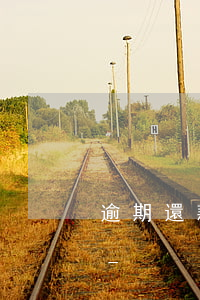 逾期還款以后多久能上征信報(bào)告-