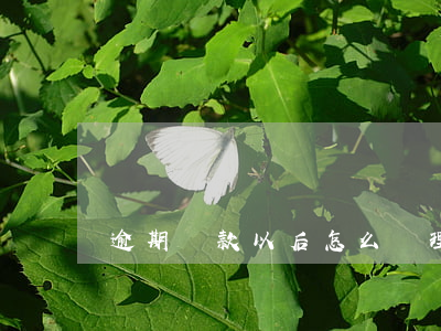 逾期還款以后怎么處理(逾期了以后怎么還款)