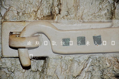 逾期還款但顯示未入賬(還款成功但顯示未入賬)