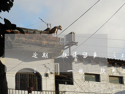 逾期還款保留多長(zhǎng)時(shí)間(一般還款可逾期幾天)