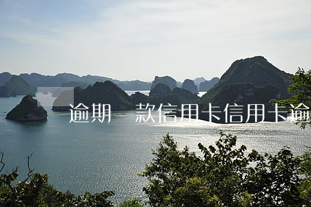 逾期還款信用卡（信用卡逾期兩期找代還扣）