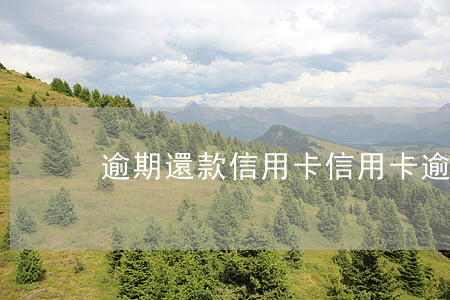 逾期還款信用卡（信用卡逾期后還清上海）